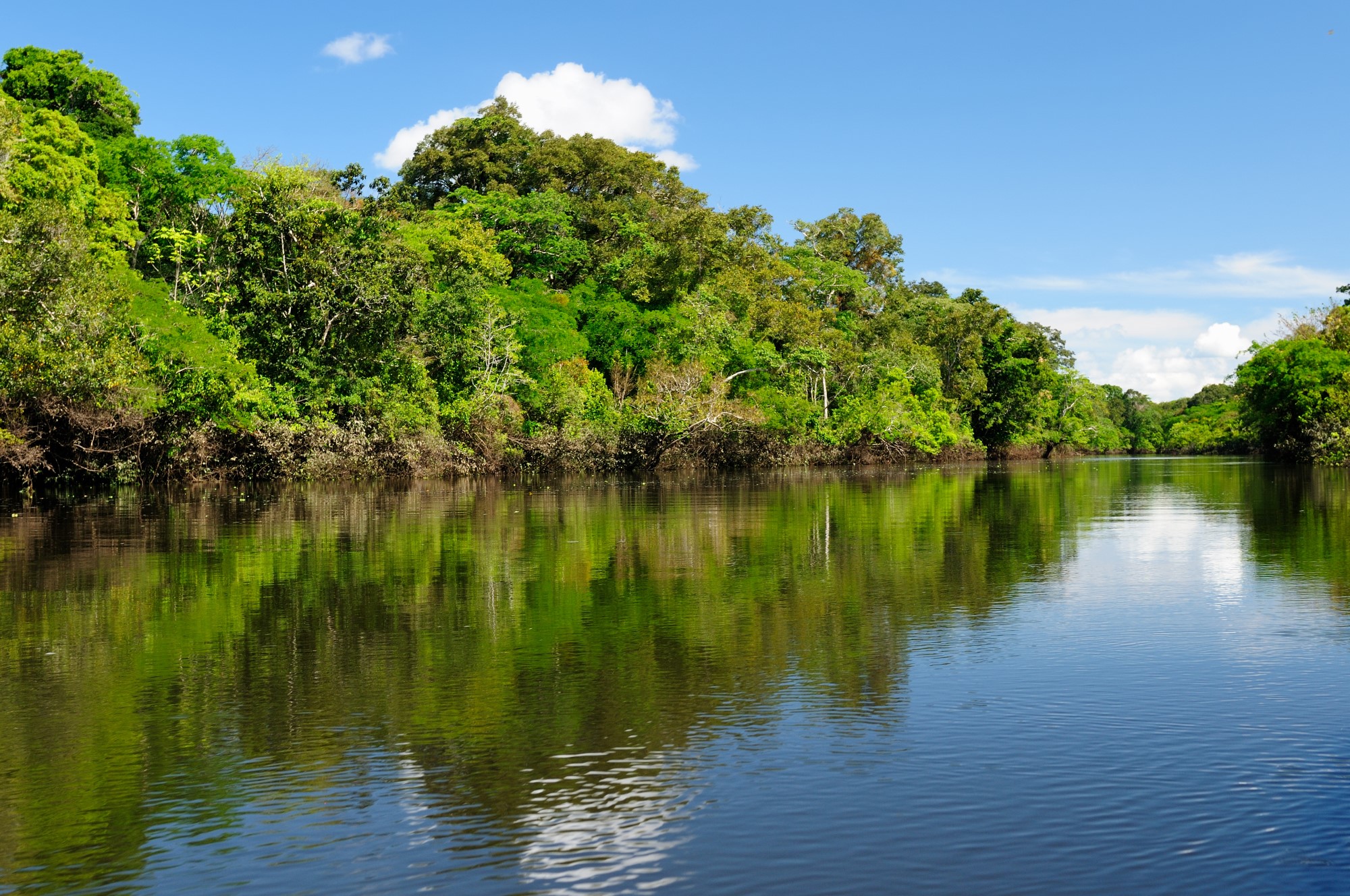 Река Кабикса в Бразилии